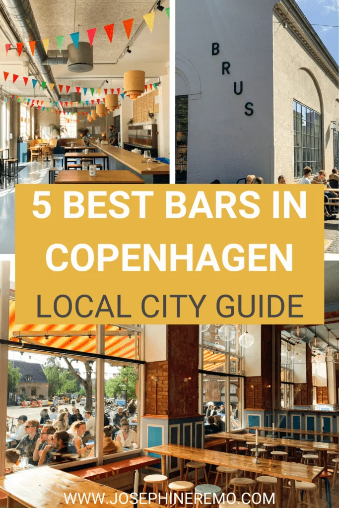 bars in copenhagen