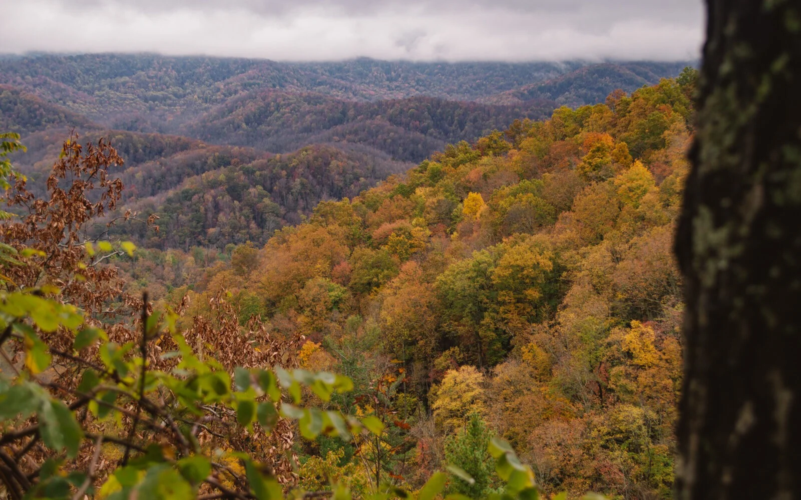 best national parks on the east coast | blog post best national parks on the east coast of North America