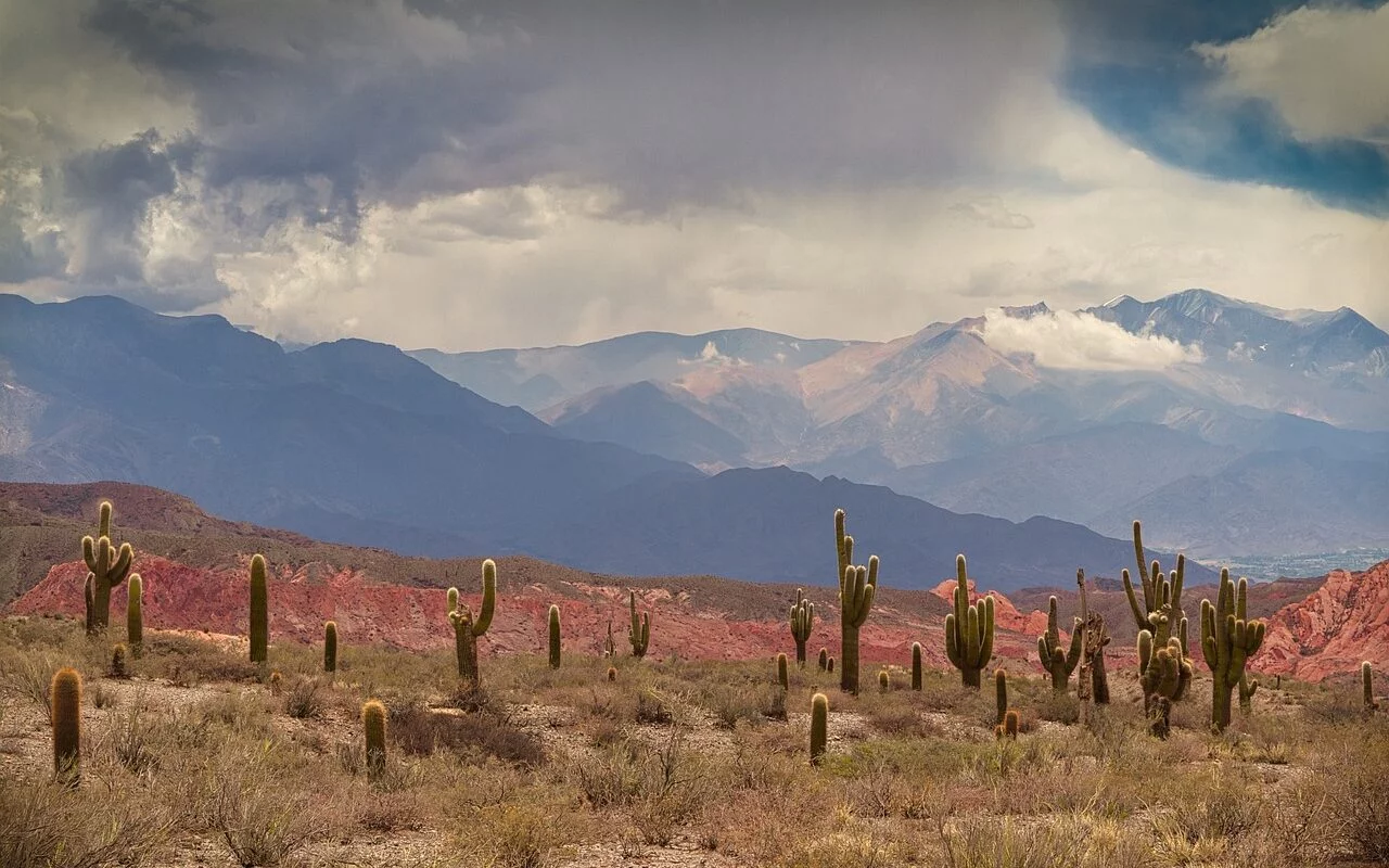 argentina, mountains, landscape-4931366.jpg