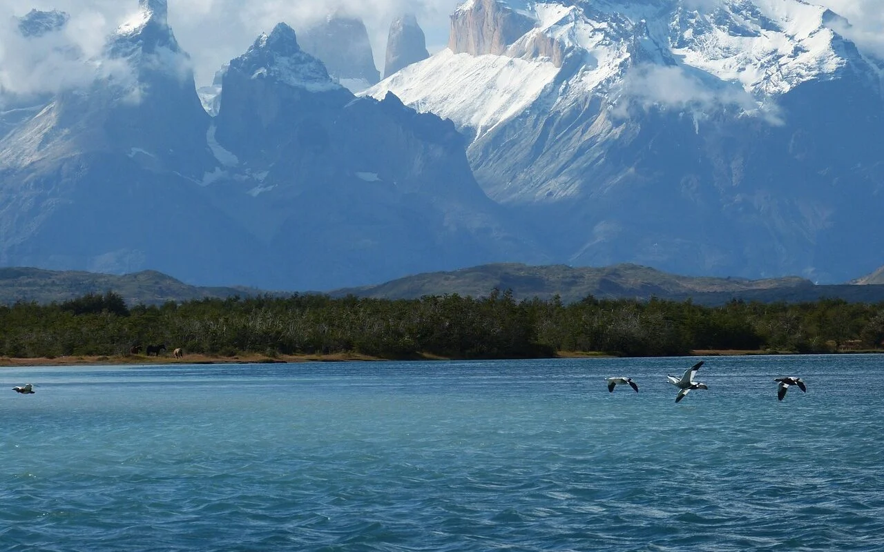 torres del paine, patagonia, chile-675737.jpg