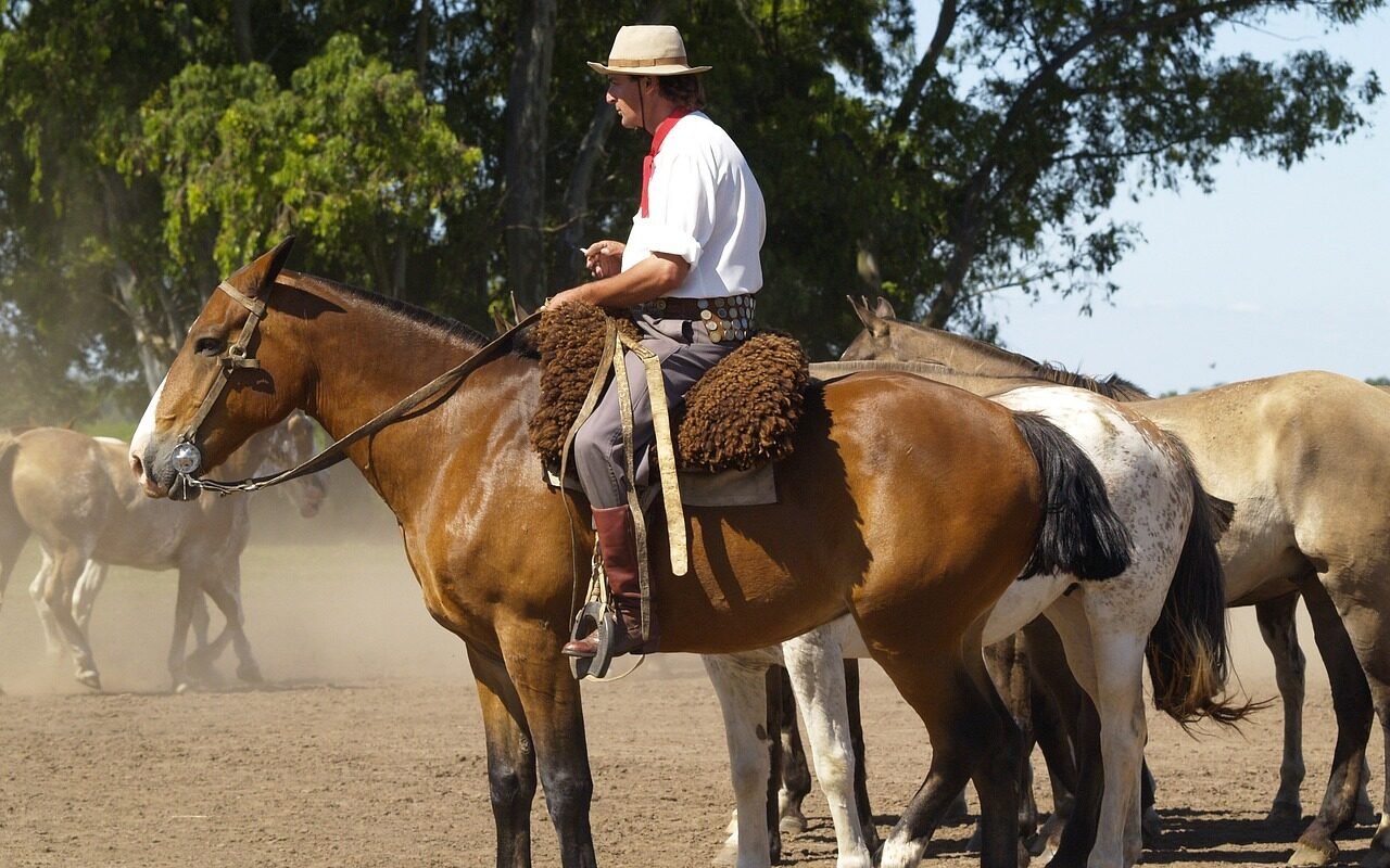 horses-argentina-gaucho-52701 | horses, argentina, gaucho-52701.jpg