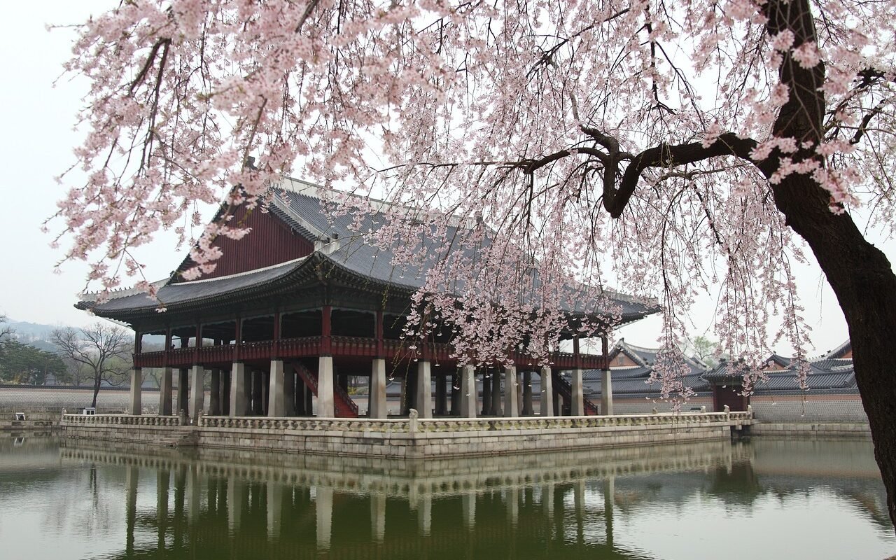 tree-park-lake-3302802 | tree, park, lake-3302802.jpg