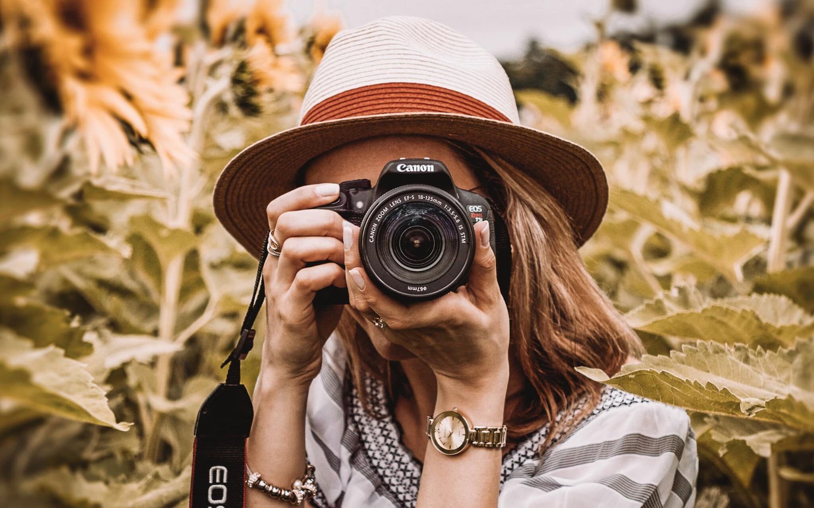 phase and contrast detection | blog post about phase detection vs contrast detection