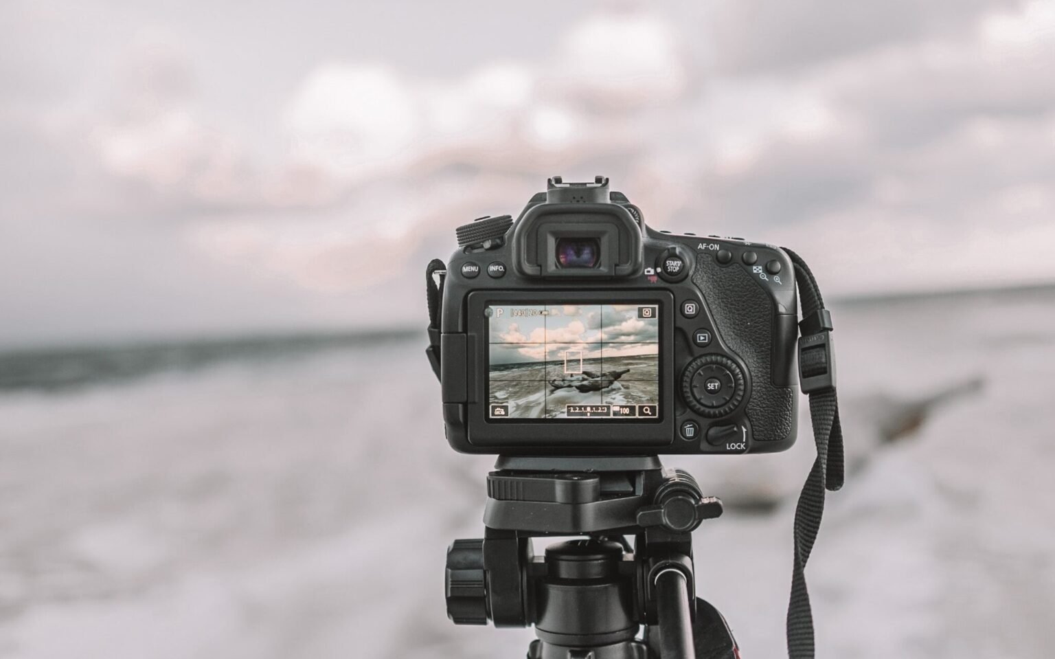 Phase Detection vs. Contrast Detection Mastering Autofocus