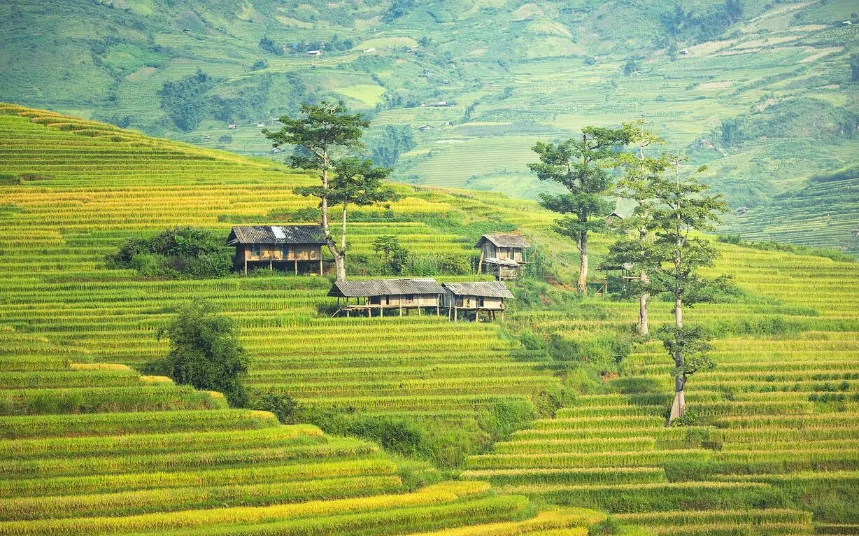 bali digital nomad | village, agriculture, valley-1822441.jpg