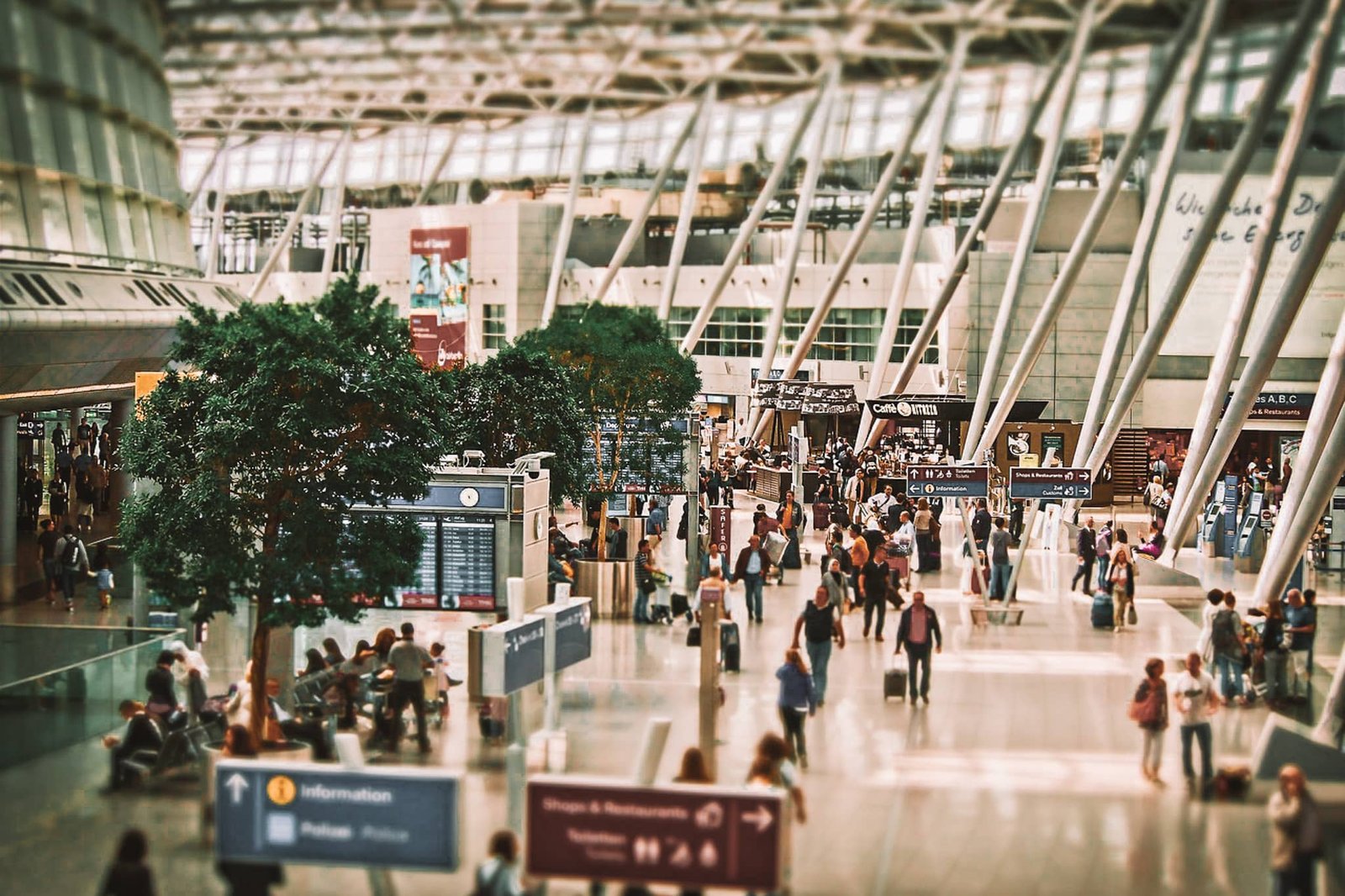 tips for first-time flyers