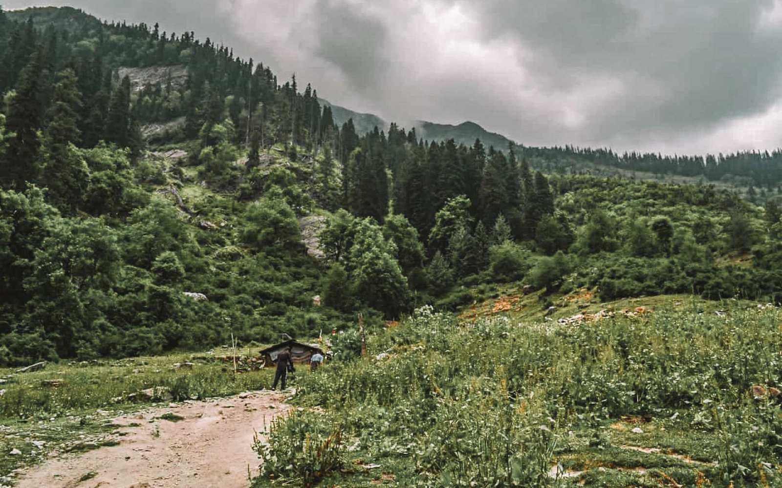 Kheerganga Mountains 