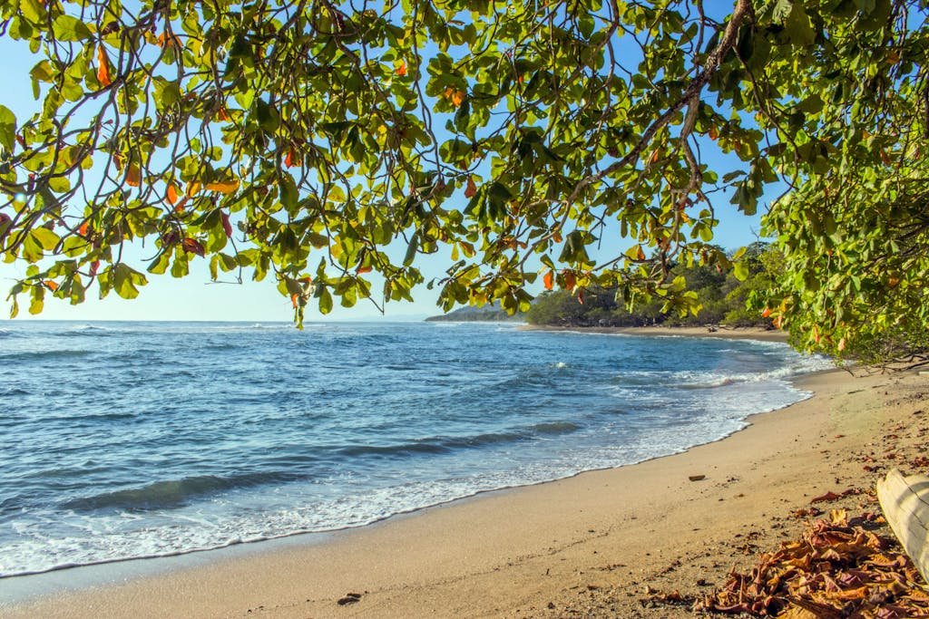 beach in costa rica