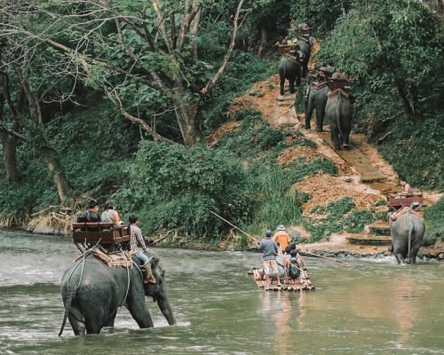 trip to thailand - elephants